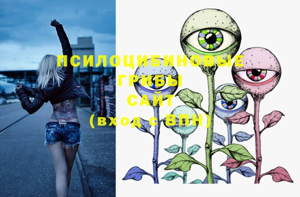 ECSTASY Беломорск