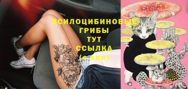 амф Баксан