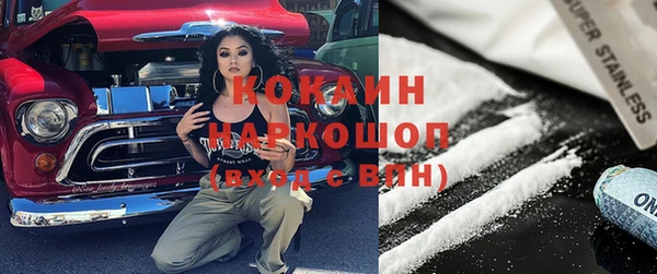 прущие грибы Саяногорск