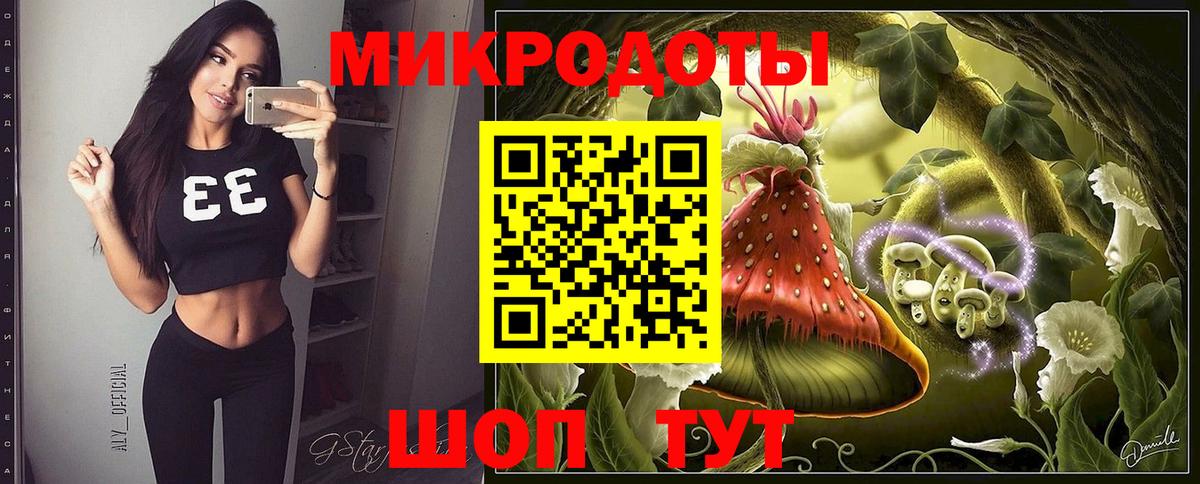 Псилоцибиновые грибы Psilocybine cubensis Бор