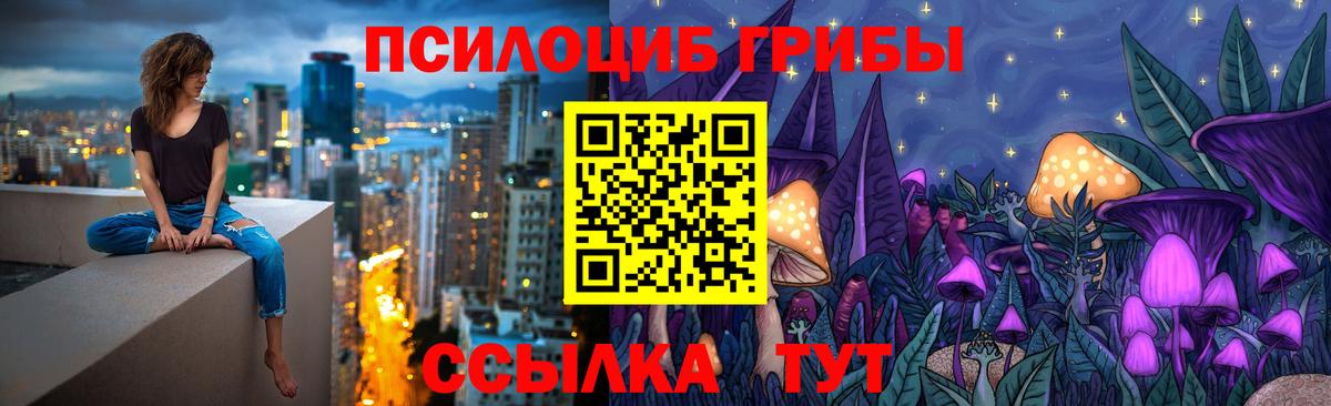 Бор  Псилоцибиновые грибы Psilocybine cubensis  Вход с VPN 